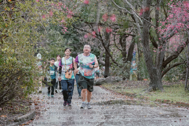2026左岸竹東櫻花馬拉松Zhudong Sakura Marathon
