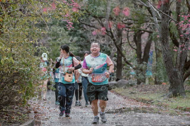 2026左岸竹東櫻花馬拉松Zhudong Sakura Marathon