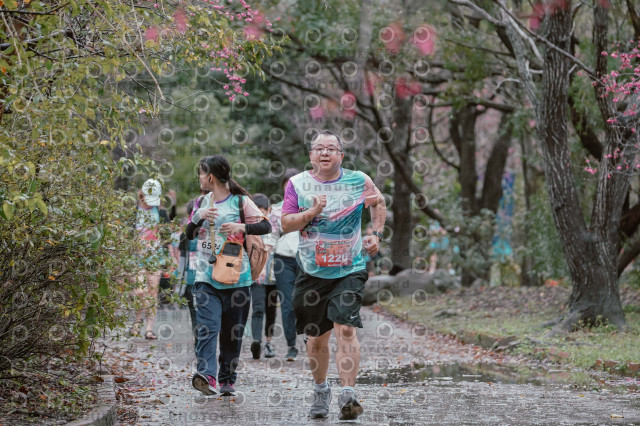 2026左岸竹東櫻花馬拉松Zhudong Sakura Marathon