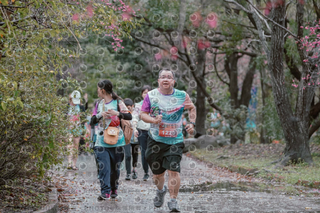 2026左岸竹東櫻花馬拉松Zhudong Sakura Marathon
