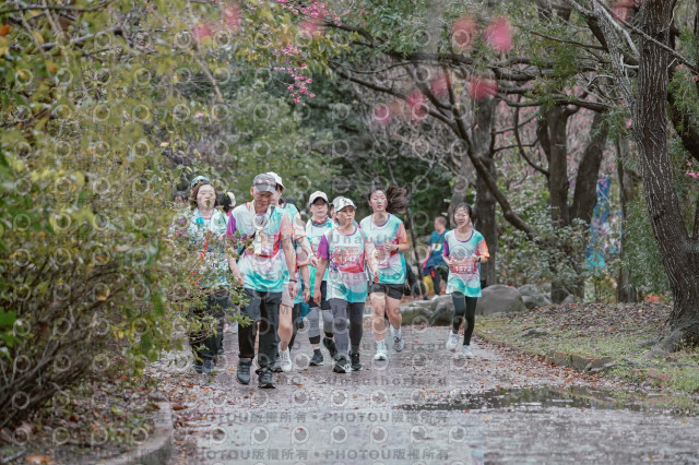 2026左岸竹東櫻花馬拉松Zhudong Sakura Marathon