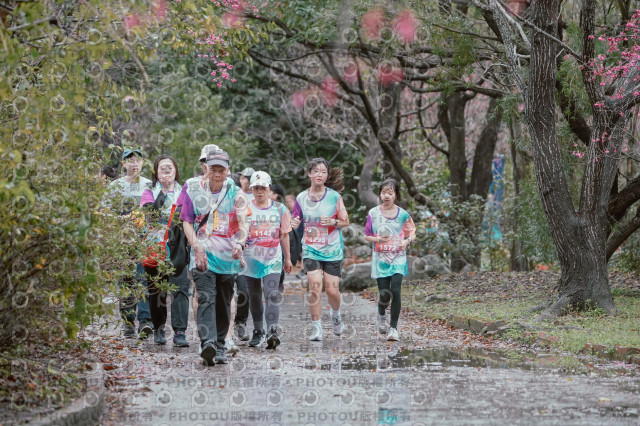 2026左岸竹東櫻花馬拉松Zhudong Sakura Marathon