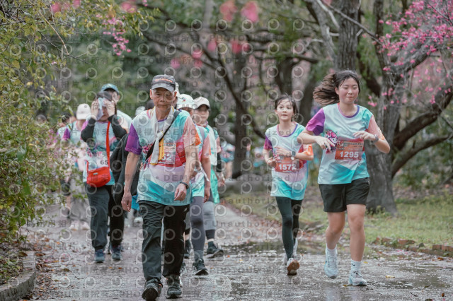 2026左岸竹東櫻花馬拉松Zhudong Sakura Marathon
