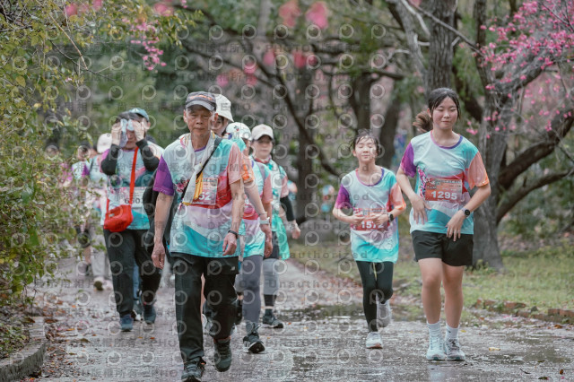 2026左岸竹東櫻花馬拉松Zhudong Sakura Marathon