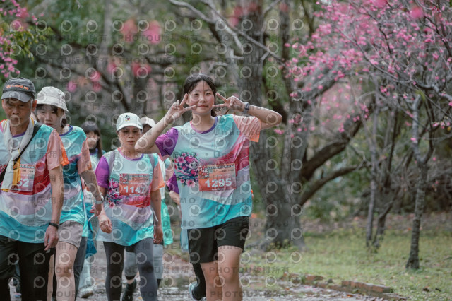 2026左岸竹東櫻花馬拉松Zhudong Sakura Marathon