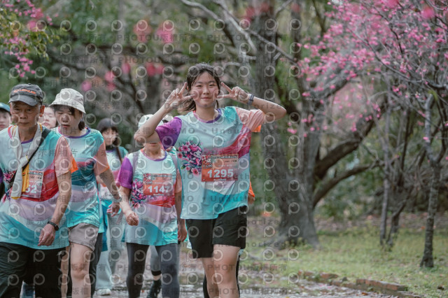 2026左岸竹東櫻花馬拉松Zhudong Sakura Marathon