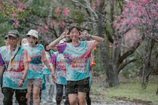 2026左岸竹東櫻花馬拉松Zhudong Sakura Marathon