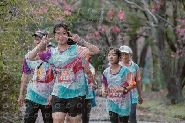 2026左岸竹東櫻花馬拉松Zhudong Sakura Marathon