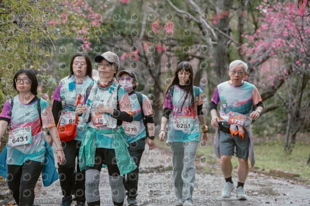 2026左岸竹東櫻花馬拉松Zhudong Sakura Marathon