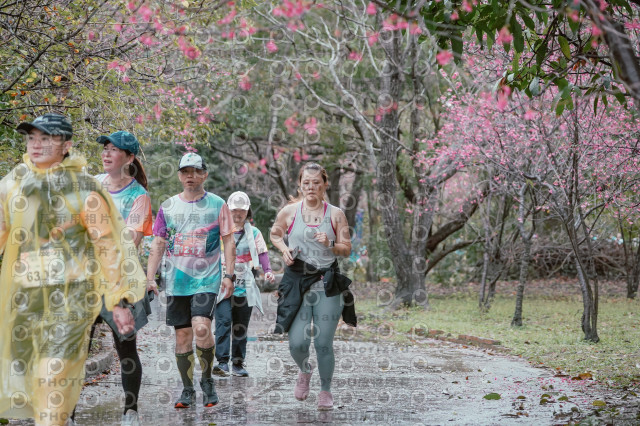 2026左岸竹東櫻花馬拉松Zhudong Sakura Marathon