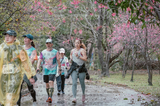 2026左岸竹東櫻花馬拉松Zhudong Sakura Marathon