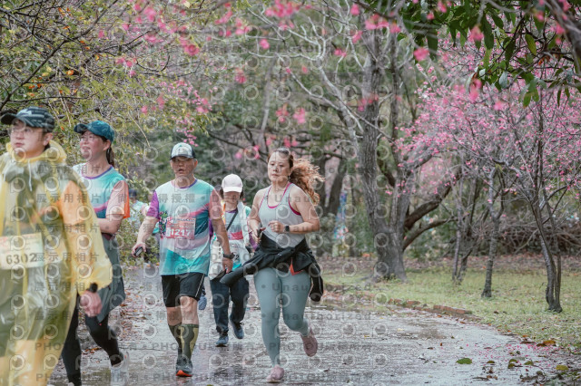 2026左岸竹東櫻花馬拉松Zhudong Sakura Marathon