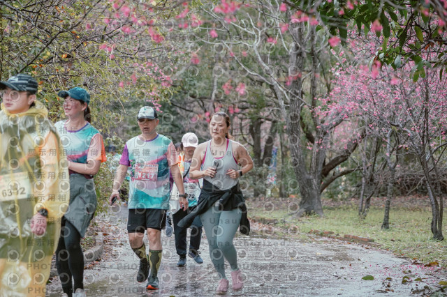 2026左岸竹東櫻花馬拉松Zhudong Sakura Marathon