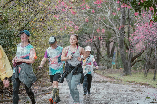 2026左岸竹東櫻花馬拉松Zhudong Sakura Marathon