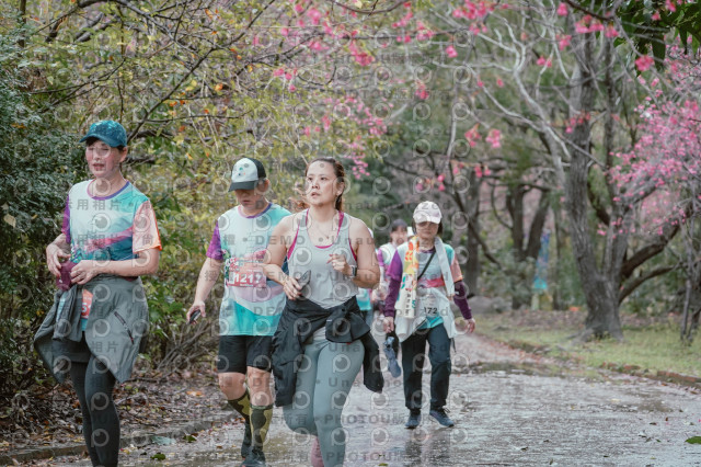 2026左岸竹東櫻花馬拉松Zhudong Sakura Marathon