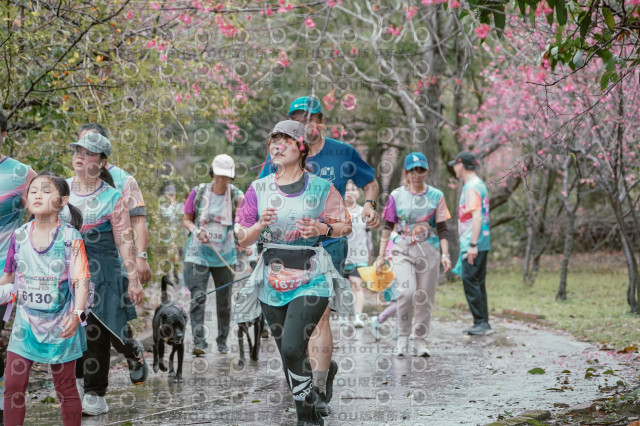 2026左岸竹東櫻花馬拉松Zhudong Sakura Marathon