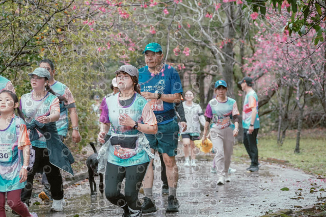 2026左岸竹東櫻花馬拉松Zhudong Sakura Marathon