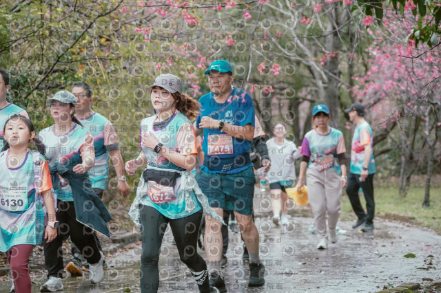 2026左岸竹東櫻花馬拉松Zhudong Sakura Marathon
