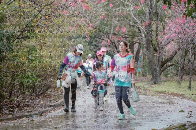 2026左岸竹東櫻花馬拉松Zhudong Sakura Marathon