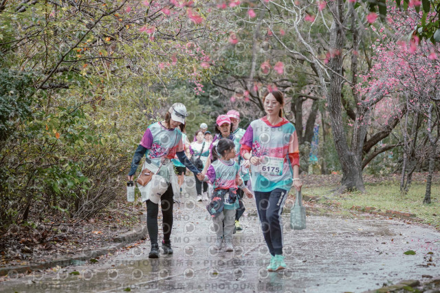 2026左岸竹東櫻花馬拉松Zhudong Sakura Marathon