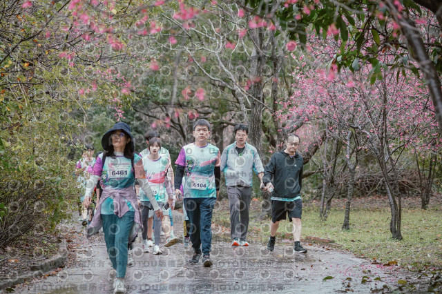 2026左岸竹東櫻花馬拉松Zhudong Sakura Marathon