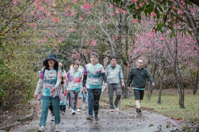 2026左岸竹東櫻花馬拉松Zhudong Sakura Marathon