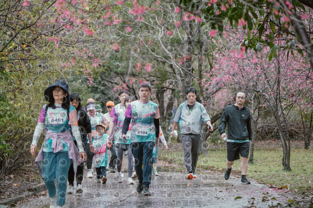 2026左岸竹東櫻花馬拉松Zhudong Sakura Marathon