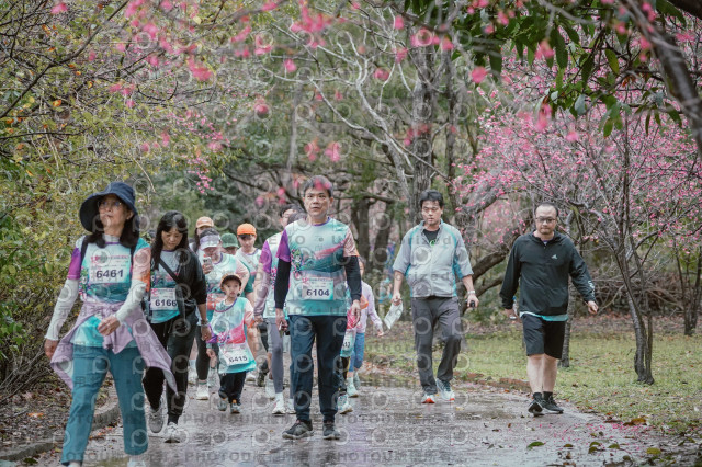 2026左岸竹東櫻花馬拉松Zhudong Sakura Marathon