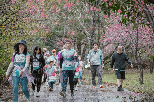 2026左岸竹東櫻花馬拉松Zhudong Sakura Marathon