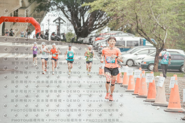 2026左岸竹東櫻花馬拉松Zhudong Sakura Marathon