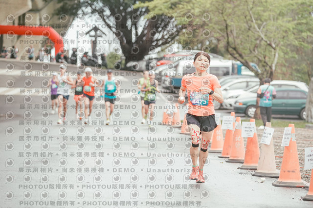 2026左岸竹東櫻花馬拉松Zhudong Sakura Marathon