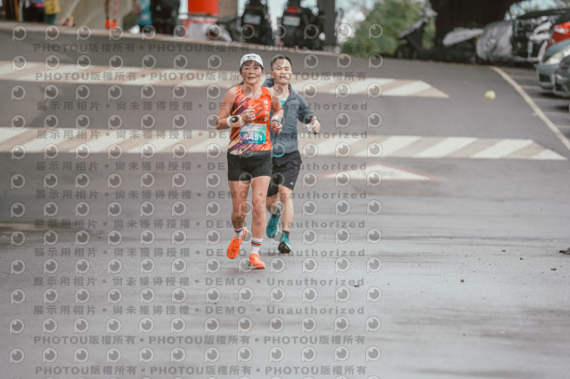 2026左岸竹東櫻花馬拉松Zhudong Sakura Marathon