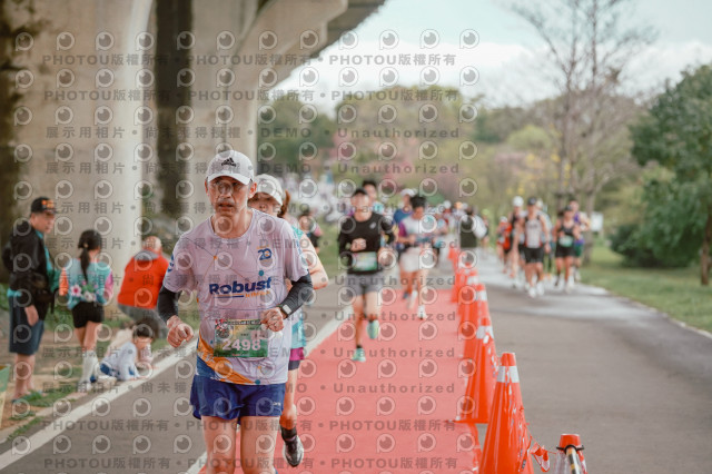2026左岸竹東櫻花馬拉松Zhudong Sakura Marathon