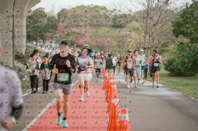 2026左岸竹東櫻花馬拉松Zhudong Sakura Marathon