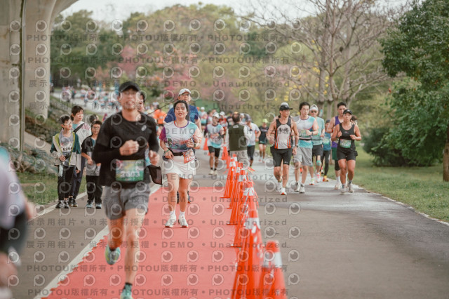 2026左岸竹東櫻花馬拉松Zhudong Sakura Marathon