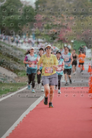 2026左岸竹東櫻花馬拉松Zhudong Sakura Marathon