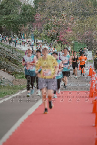 2026左岸竹東櫻花馬拉松Zhudong Sakura Marathon