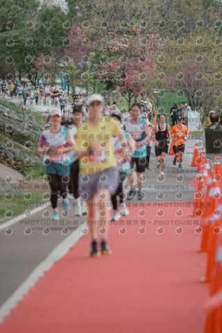 2026左岸竹東櫻花馬拉松Zhudong Sakura Marathon