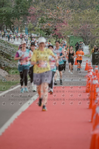 2026左岸竹東櫻花馬拉松Zhudong Sakura Marathon