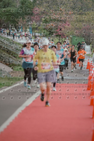 2026左岸竹東櫻花馬拉松Zhudong Sakura Marathon