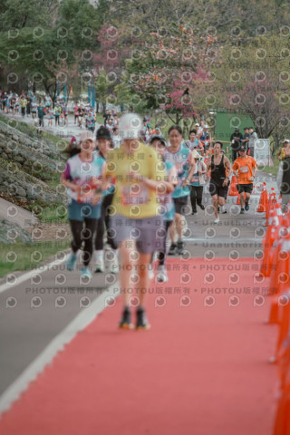 2026左岸竹東櫻花馬拉松Zhudong Sakura Marathon
