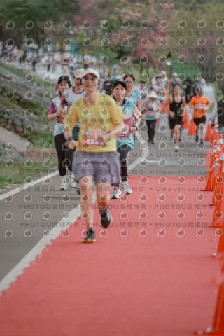 2026左岸竹東櫻花馬拉松Zhudong Sakura Marathon