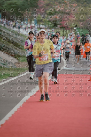2026左岸竹東櫻花馬拉松Zhudong Sakura Marathon