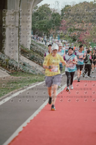 2026左岸竹東櫻花馬拉松Zhudong Sakura Marathon