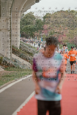 2026左岸竹東櫻花馬拉松Zhudong Sakura Marathon