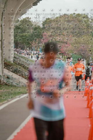 2026左岸竹東櫻花馬拉松Zhudong Sakura Marathon