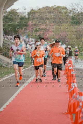 2026左岸竹東櫻花馬拉松Zhudong Sakura Marathon