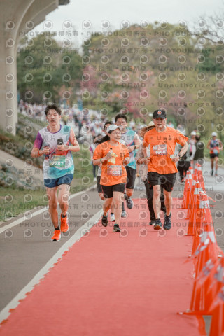 2026左岸竹東櫻花馬拉松Zhudong Sakura Marathon