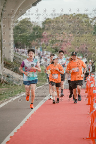 2026左岸竹東櫻花馬拉松Zhudong Sakura Marathon