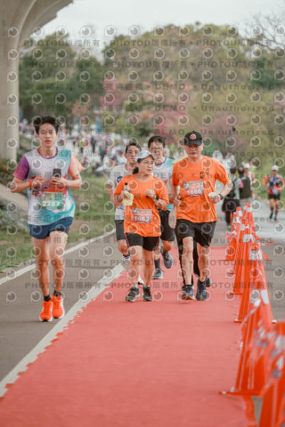 2026左岸竹東櫻花馬拉松Zhudong Sakura Marathon